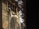 Within The Realm Of A Dying Sun [VINYL] Dead Can Dance Vinyl