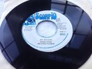 Michael Palmer- My Region b/w Sly & Robbie- Version JA 7