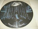 Morbid - December Moon RARE Picture Disc Nr. 507 / 500