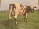Pink Floyd. - Atom Heart Mother - 3rd Uk Press Harvest LP Gatefold EX+