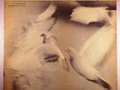 DONALD BYRD Free Form 12