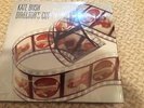 Kate Bush - Director's Cut - 2011 Fish People 2xVinyl LP + Booklet - New