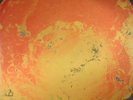 RUN RIVER NORTH - Drinking From A Salt Pond - Vinyl (2xLP)