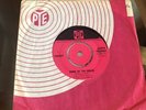Peanut Home Of The Brave PYE 45rpm