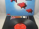 PINK FAIRIES - 