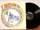 I BISONTI 