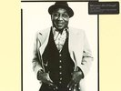 Hard Again  Muddy Waters Vinyl Record