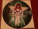 WITHIN TEMPTATION Mother Earth Green Picture Disc LP Vinyl 12