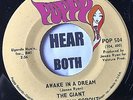 Amazing Psych 45 GIANT JELLYBEAN COPOUT Awake In A Dream POPPY Beach Boys Rare