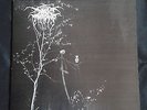 Darkthrone - Under A Funeral Moon LP (orig. first press 1993), Immortal, Mayhem