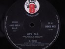 B. ROSE Hey D.J. IL DISCOTTO 12