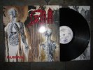 Death-Human LP 1991 R/C Records First Press Rar