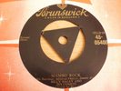 Rare   Bill Haley/ Comets 
