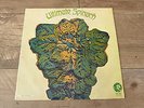Ultimate Spinach - Same 1968 UK LP MGM MONO 1st PSYCH