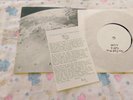 The Field Mice – I Can See Myself Alone Forever Very Rare UK 7