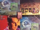 FGTH Frankie Goes To Hollywood WATCHING THE WILDLIFE RARE 12