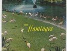 Flamingos - S/T LP - Checker DG