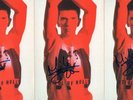 3 AUTHENTIC SIGNED MIKE JOYCE THE SMITHS 6X4 PR CARDS WITH LETTER AS PROOF..REAL