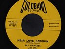 JAY RICHARDS & BLUES KINGS: Hear Love Knockin 45 Oldies