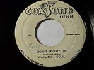 The Wailing Soul - Don't Fight it /Reggae 7