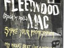 FLEETWOOD MAC 45 SHAKE YOUR MONEYMAKER+PS HOLLAND RARE