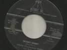 R&B ROCKERS - DOSSIE (THUNDERBIRD) TERRY - FOOL MULE  -HEAR BOTH  -1958 AMP