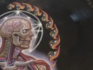 Tool Lateralus Vinyl Record Album