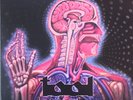 TOOL LATERALUS 2 X LP GATEFOLD  LP