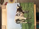 PINK FLOYD Atom Heart Mother Vinyl LP