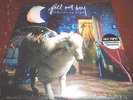 FALL OUT BOY Infinity On High 12