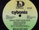 CYBONIX Cybonix In Effect D-BASS 12