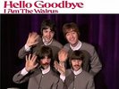 BEATLES ULTRA  