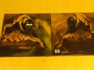 TOAD - Toad - LP reissue of 1971 Krautrock- Akarma-Klappcover-foc