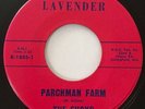 * THE FURYS Parchman Farm/Beachin RARE GARAGE MOD PUNK ROCKER Lavender 45 HEAR