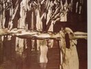 Triffids/Sunday Painters/Tactics/Other Voices/Whirlywirld 2LP AUSSIE POST PUNK
