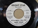 RICKY ALLEN skate boo-ga-loo boogaloo/it’s a mess I tell you 45 northern soul