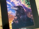 THE STRANGLERS THE RAVEN 1979 UK PRESS 12