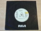 EX-   Raw Material/Ride On Pony/1971 RCA Neon 7