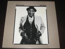 Muddy Waters rare '77 UK 1st press LP Hard Again on Blue Sky mint- CHICAGO BLUES