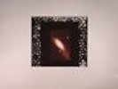 NEWMAN, Colin - Not To (reissue) - Vinyl (LP)