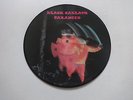 BLACK SABBATH - Paranoid PICTURE LP - RAR