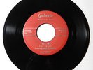 THE IDOLS Stars Will Remember / Tell Me GALAXIE 45 RPM RARE TEEN ROCK DOO WOP