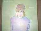 DAVID SYLVIAN – Blemish – LP 2004 - JAPAN - DEREK BAILEY - CHRISTIAN FENNESZ