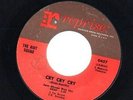 The Riot Squad Cry Cry Cry / How It Is Done Vinyl Single 7inch Reprise Record