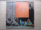 Folk Folk Rock 70's LP-Chris Foster-Layers-UK Topic records issue copy