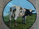 PINK FLOYD - ATOM HEART MOTHER -  12