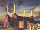 PINK FLOYD - ANIMALS - 12