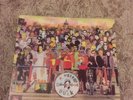 Burning Ambitions- A History Of Punk Double Vinyl Lp 12