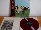 PINK FLOYD - 