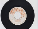 SURVIVAL/ MAKE A TURN  -  BLUE FLAME - SOUL SYNDICATE  ( REGGAE ROOTS 7